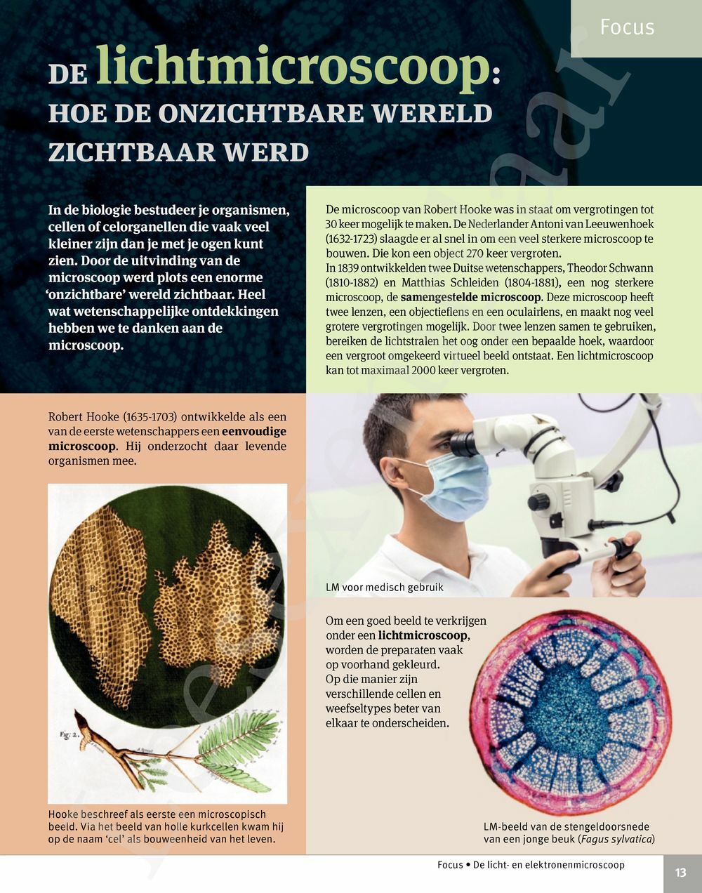 Focus Biologie 5 Cel En Celprocessen Handboek Incl Pelckmans Portaal