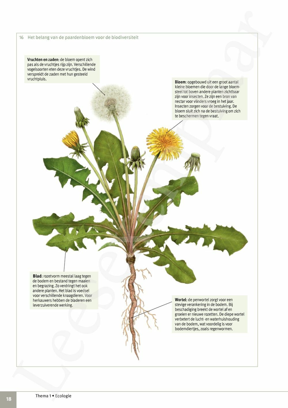 Preview: Focus Biologie 4.2 Leerwerkboek (incl. Pelckmans Portaal)