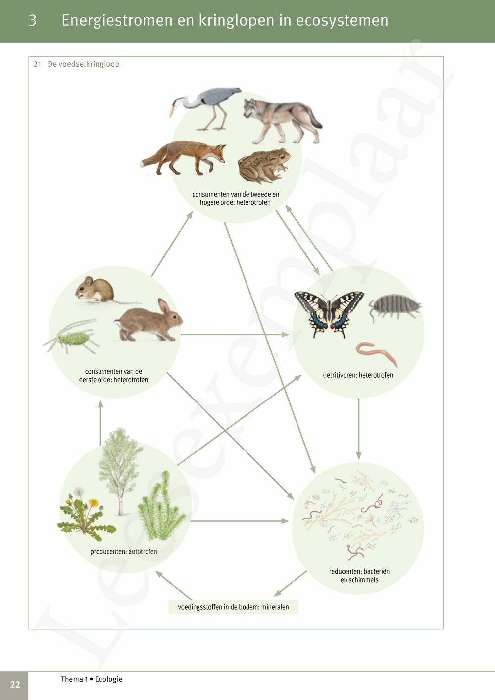 Preview: Focus Biologie 4.2 Leerwerkboek (incl. Pelckmans Portaal)