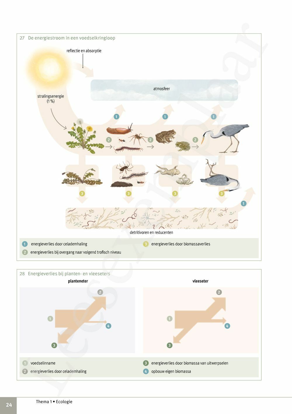 Preview: Focus Biologie 4.2 Leerwerkboek (incl. Pelckmans Portaal)