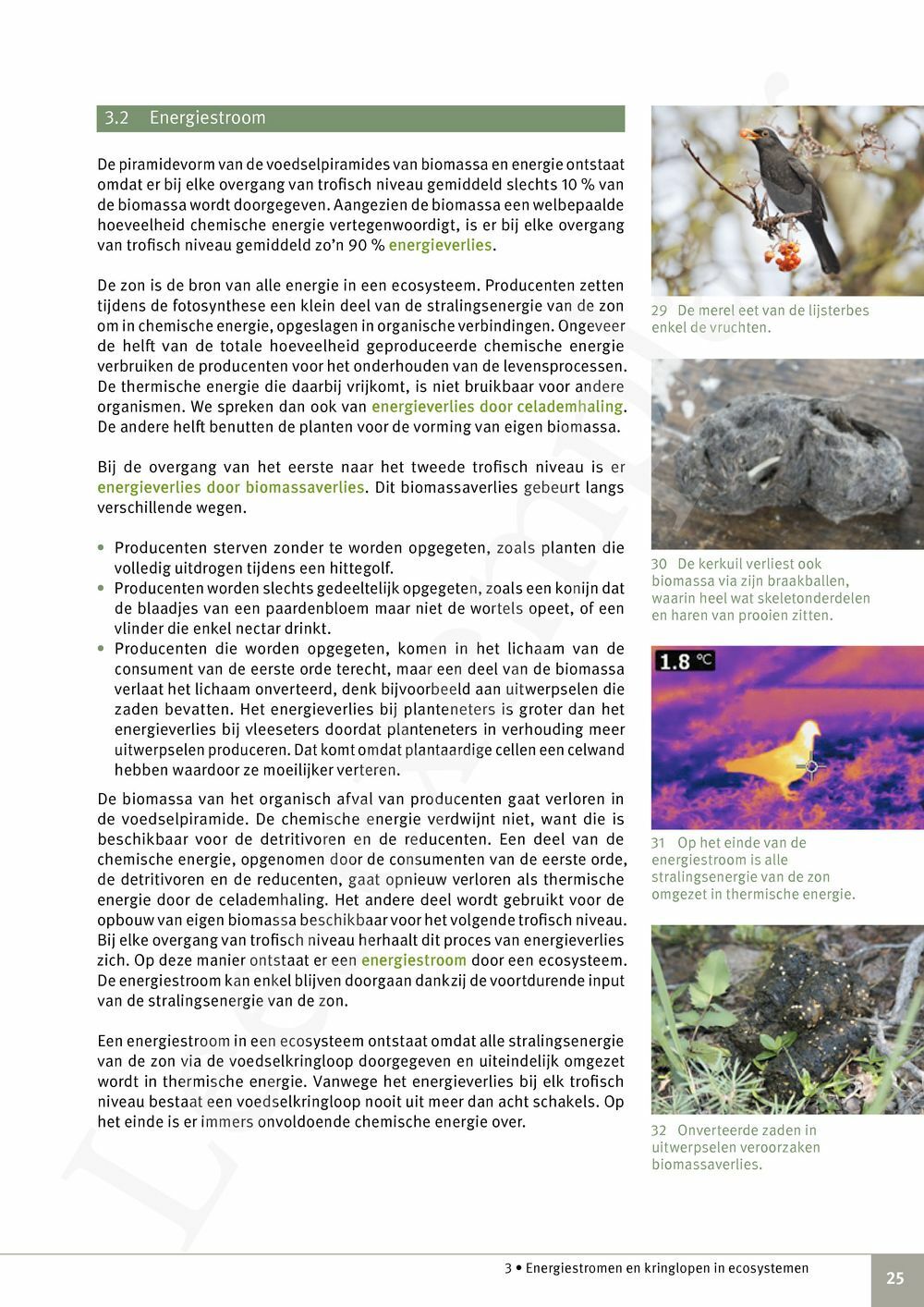 Preview: Focus Biologie 4.2 Leerwerkboek (incl. Pelckmans Portaal)