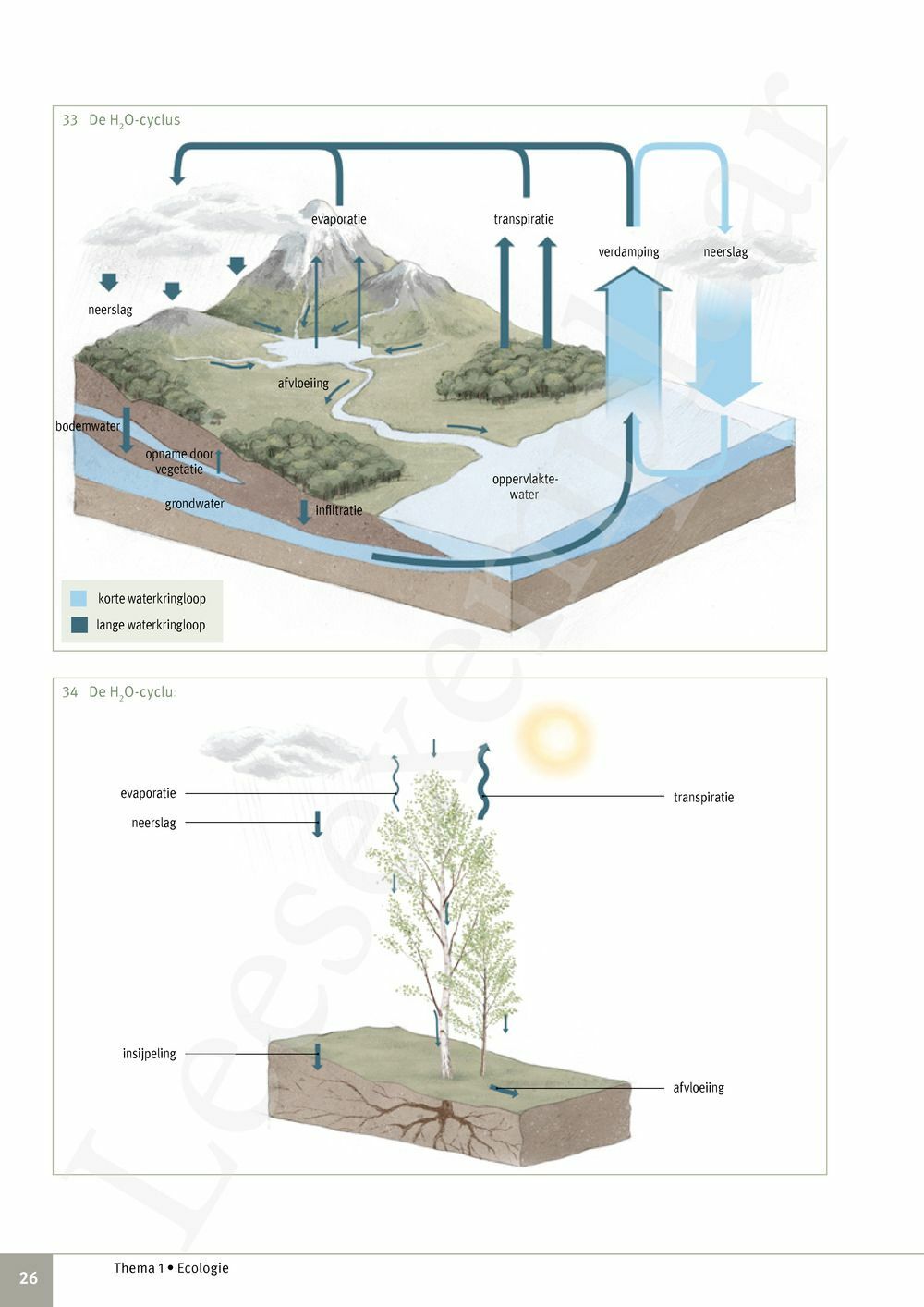 Preview: Focus Biologie 4.2 Leerwerkboek (incl. Pelckmans Portaal)