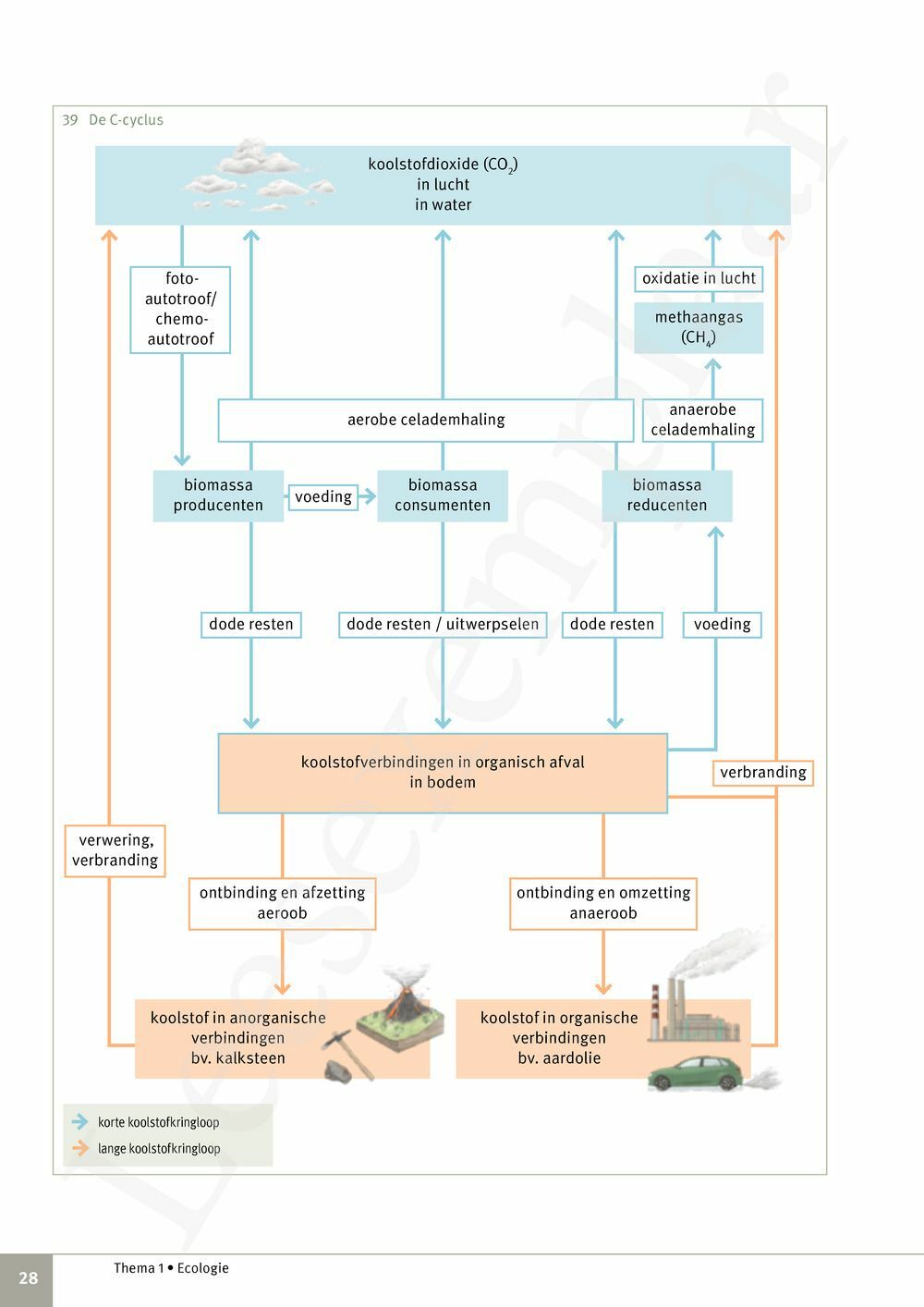 Preview: Focus Biologie 4.2 Leerwerkboek (incl. Pelckmans Portaal)