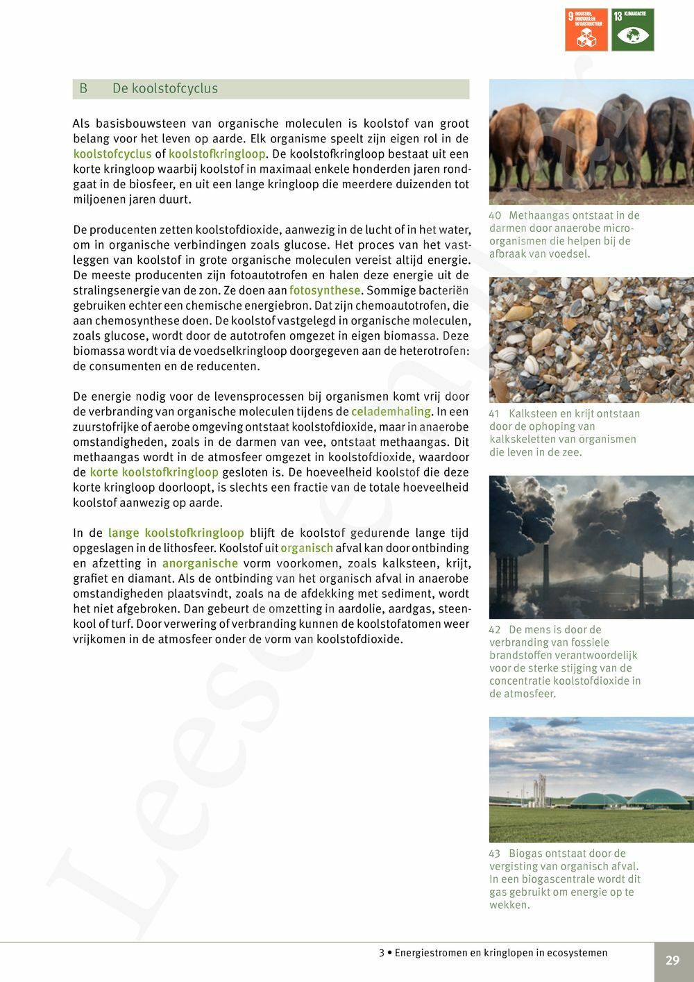 Preview: Focus Biologie 4.2 Leerwerkboek (incl. Pelckmans Portaal)