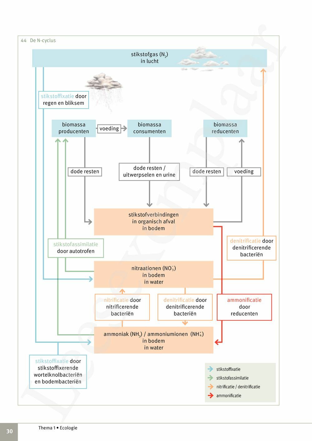 Preview: Focus Biologie 4.2 Leerwerkboek (incl. Pelckmans Portaal)