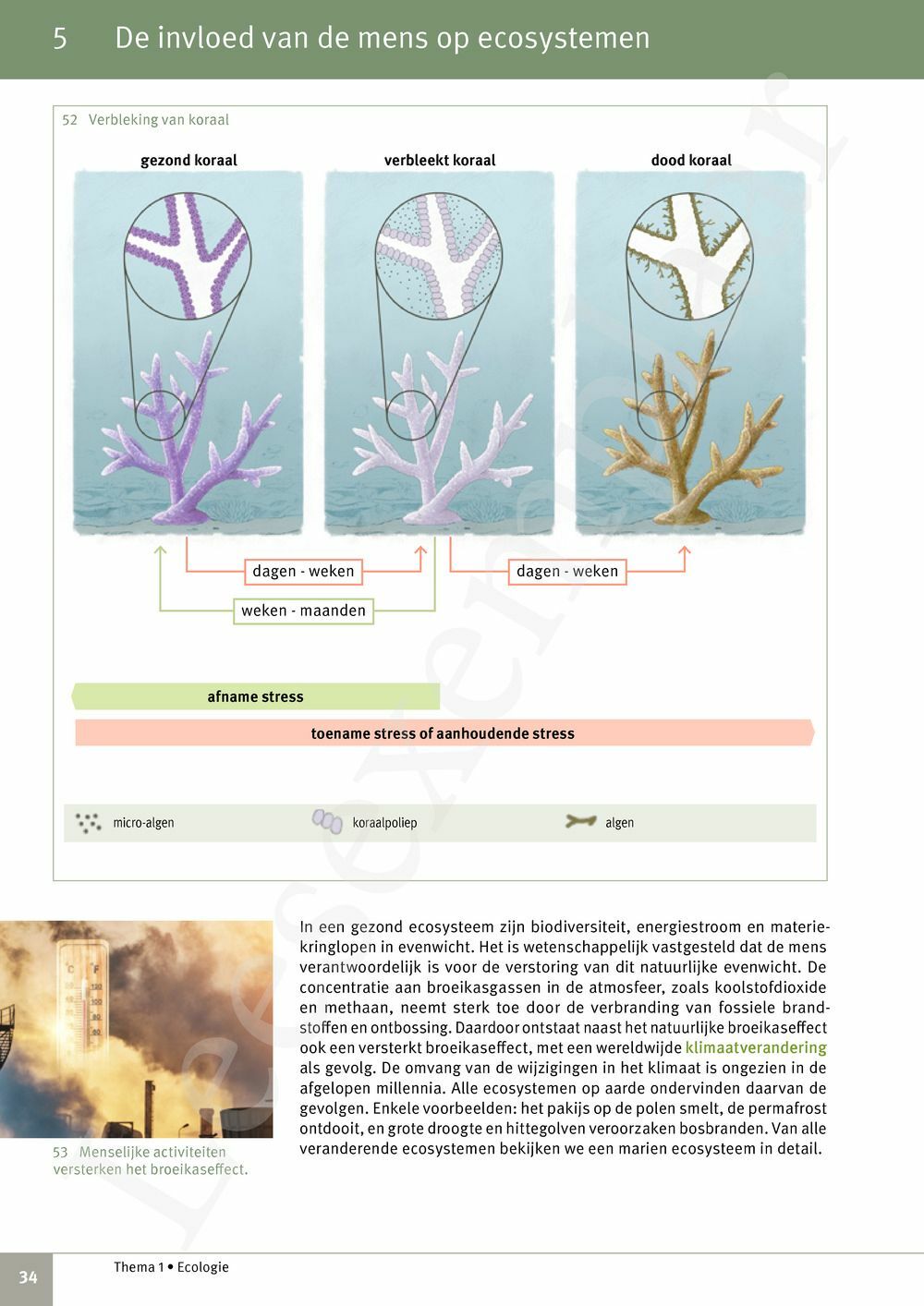 Preview: Focus Biologie 4.2 Leerwerkboek (incl. Pelckmans Portaal)