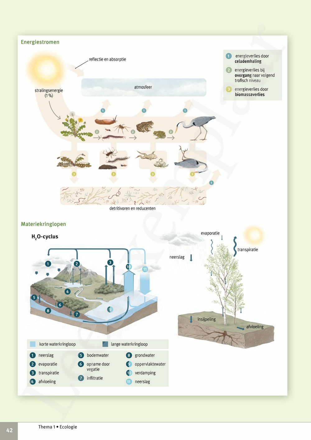 Preview: Focus Biologie 4.2 Leerwerkboek (incl. Pelckmans Portaal)