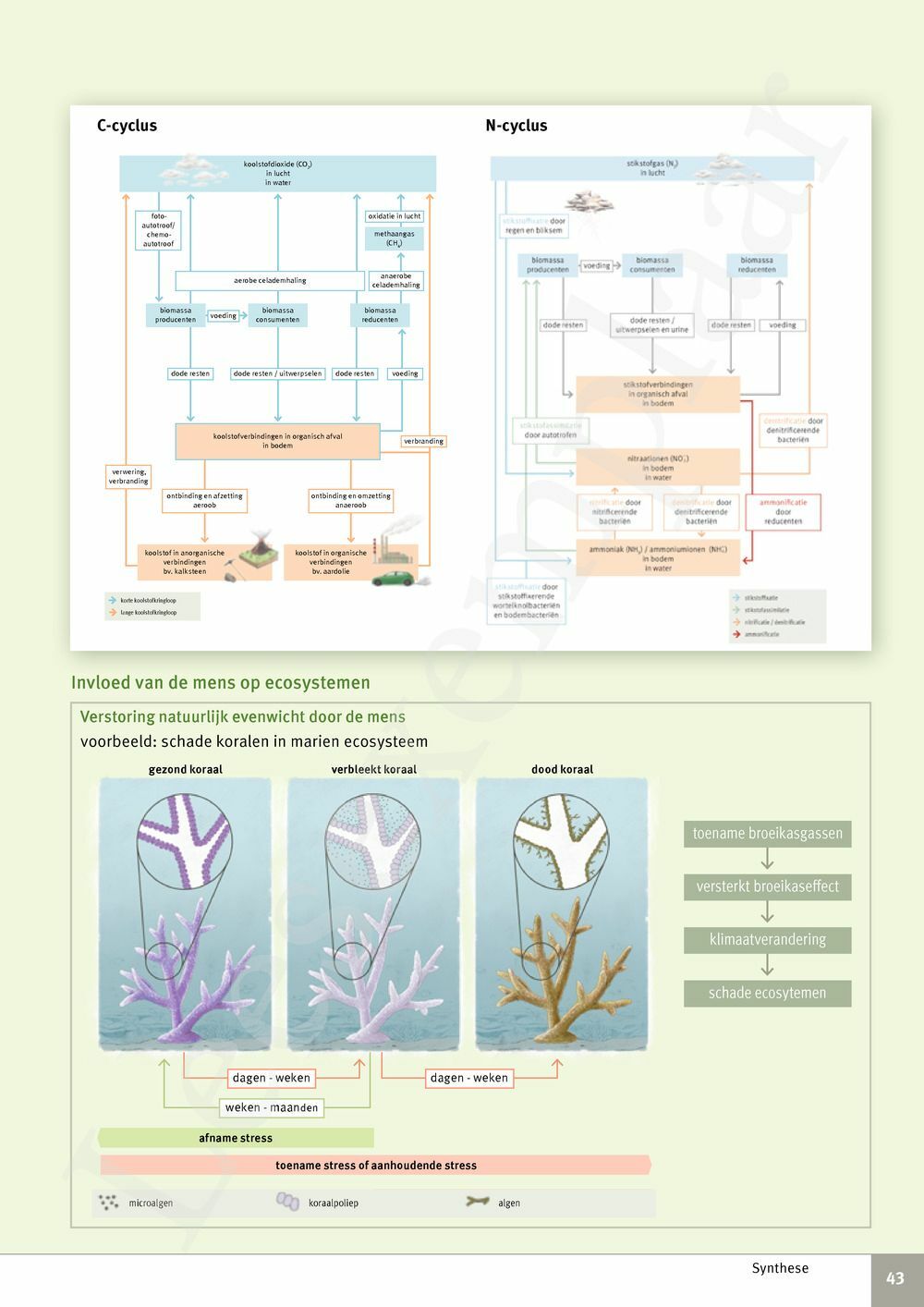 Preview: Focus Biologie 4.2 Leerwerkboek (incl. Pelckmans Portaal)