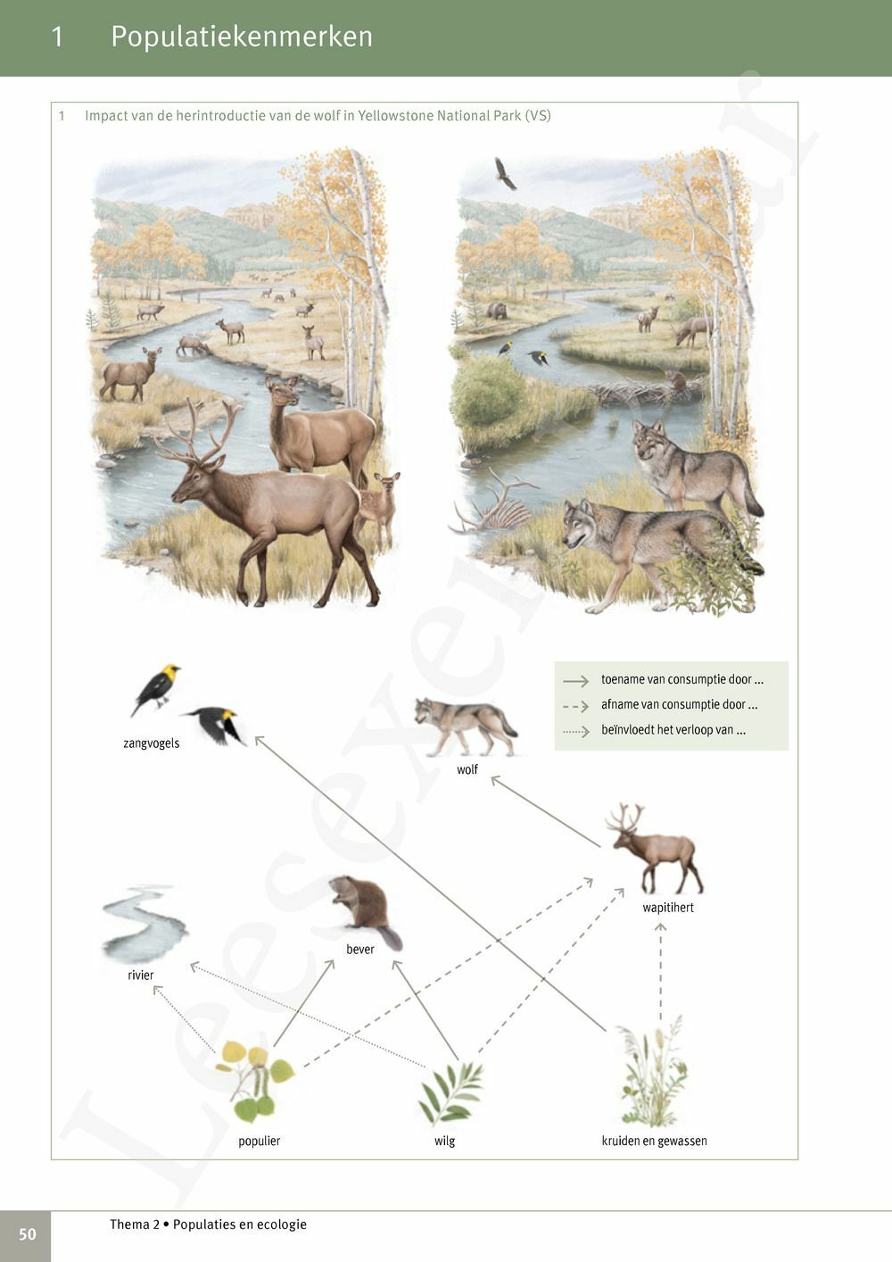 Preview: Focus Biologie 4.2 Leerwerkboek (incl. Pelckmans Portaal)