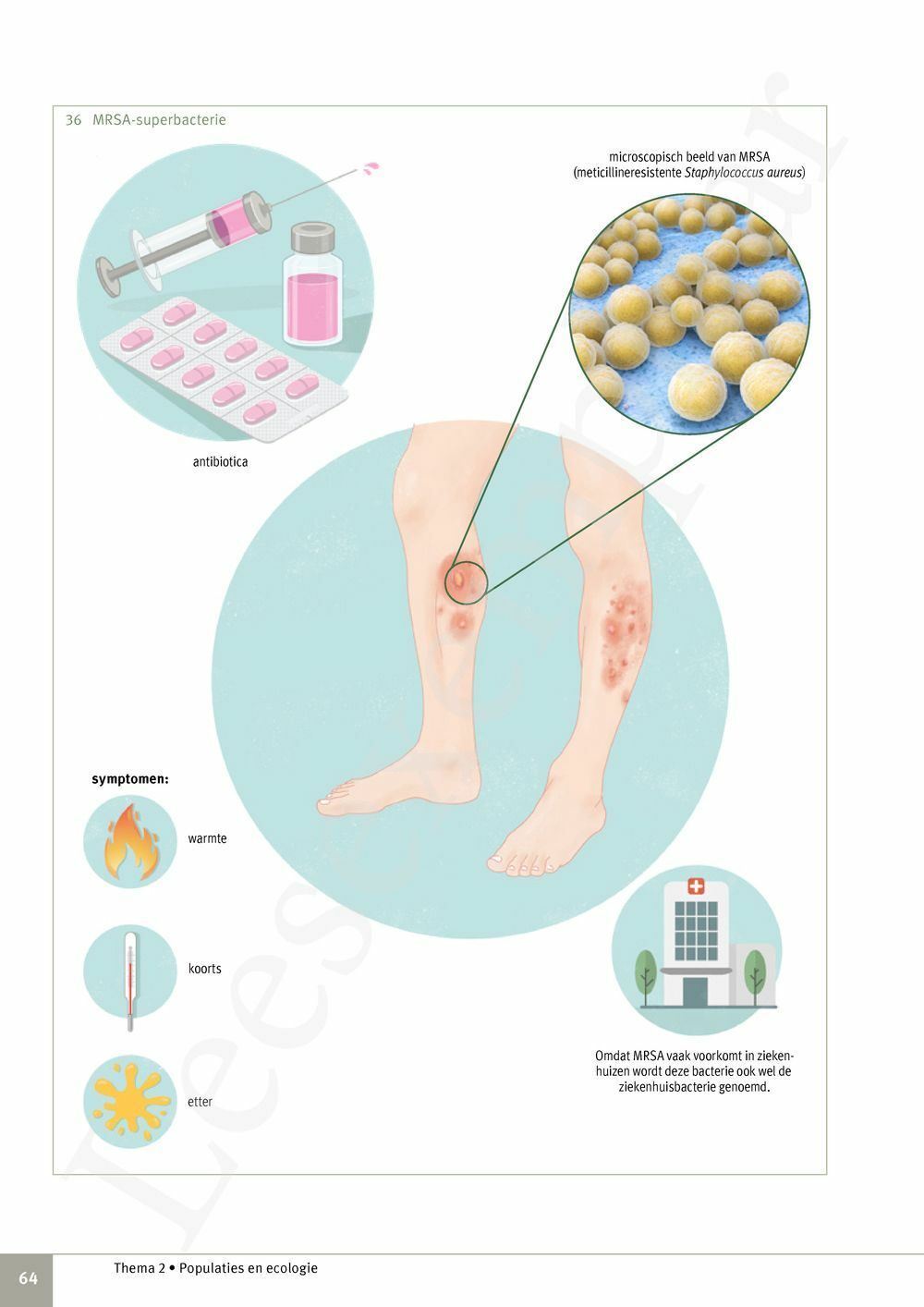 Preview: Focus Biologie 4.2 Leerwerkboek (incl. Pelckmans Portaal)