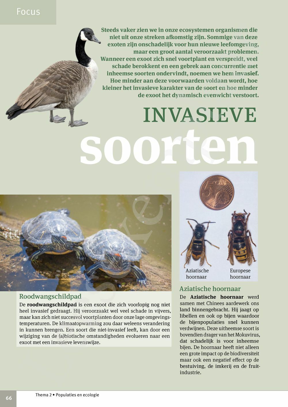 Preview: Focus Biologie 4.2 Leerwerkboek (incl. Pelckmans Portaal)