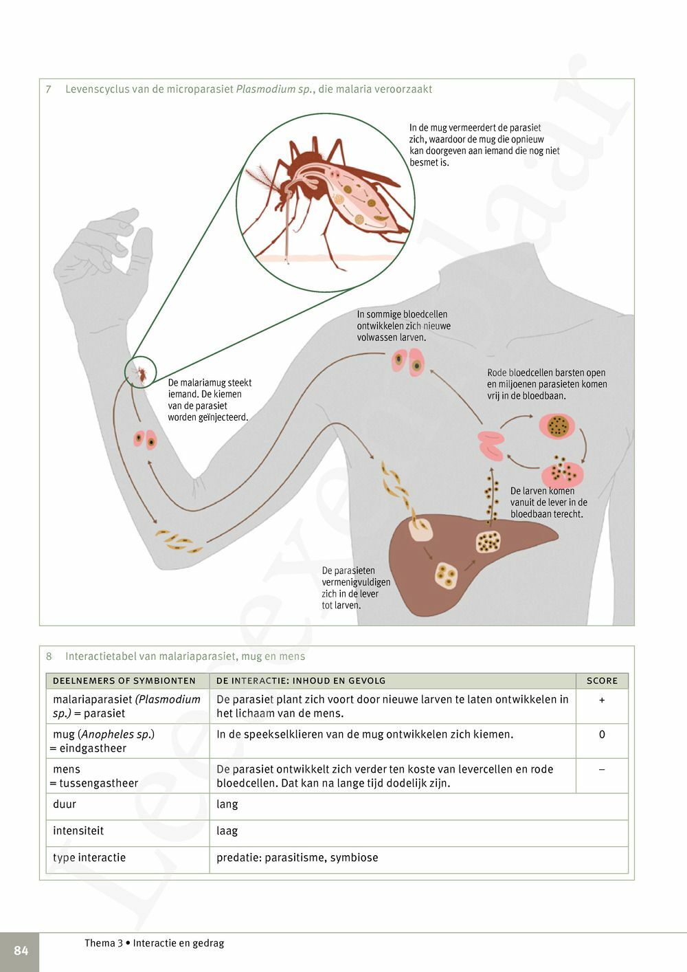 Preview: Focus Biologie 4.2 Leerwerkboek (incl. Pelckmans Portaal)