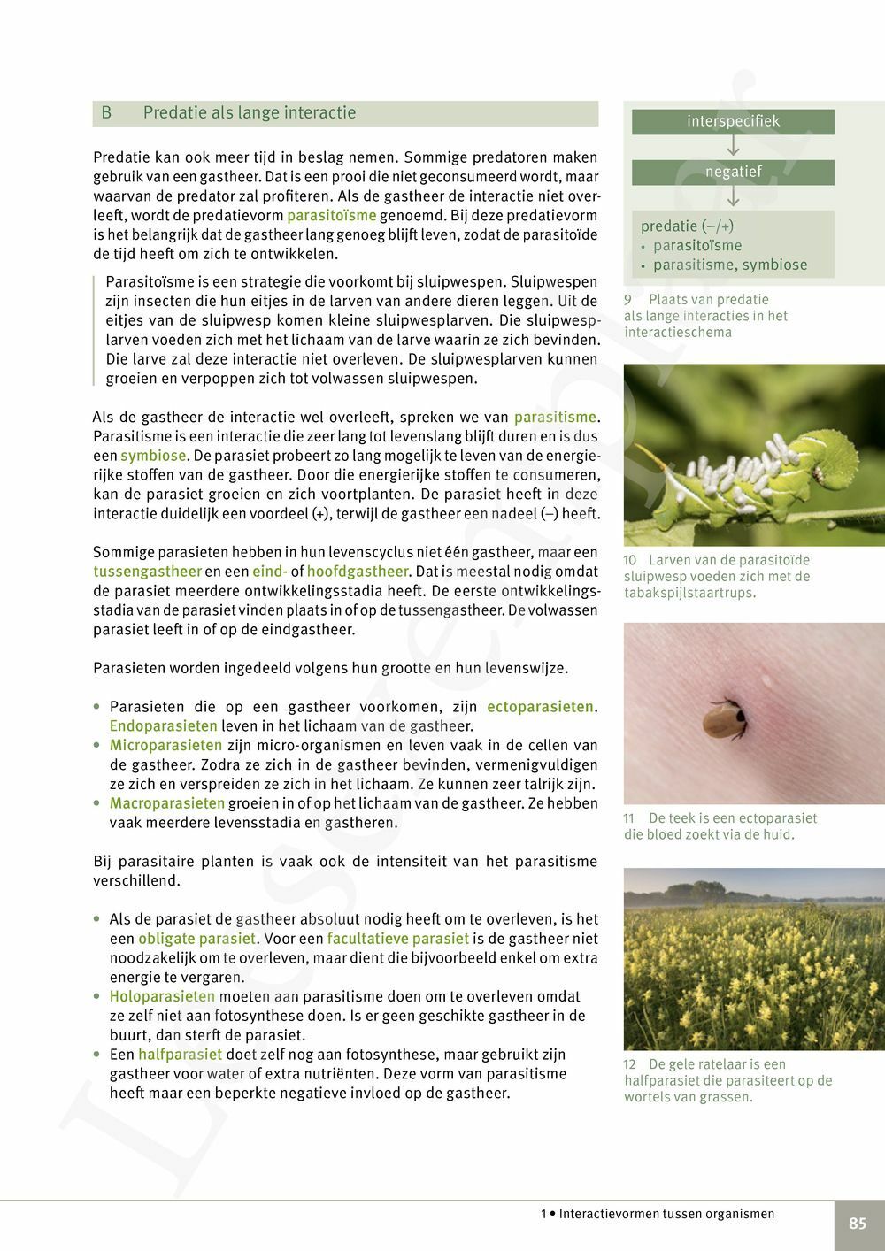 Preview: Focus Biologie 4.2 Leerwerkboek (incl. Pelckmans Portaal)