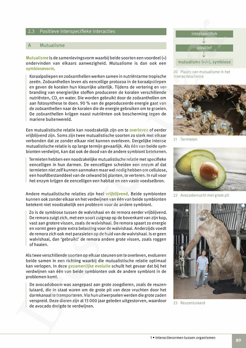 Preview: Focus Biologie 4.2 Leerwerkboek (incl. Pelckmans Portaal)