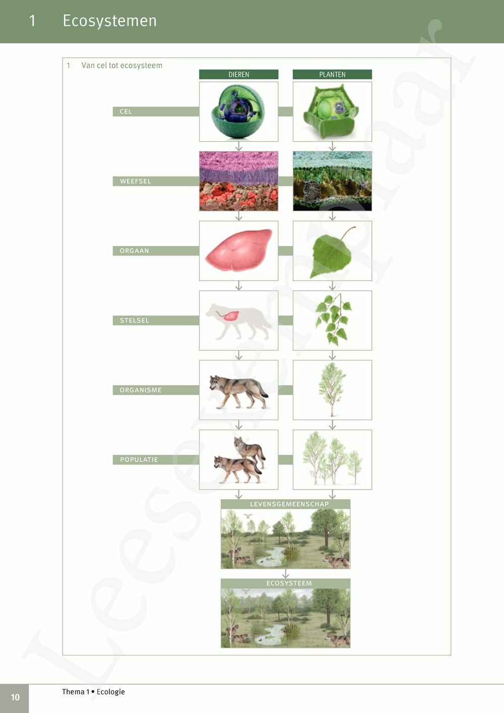 Preview: Focus Biologie 4.2 Leerwerkboek (incl. Pelckmans Portaal)