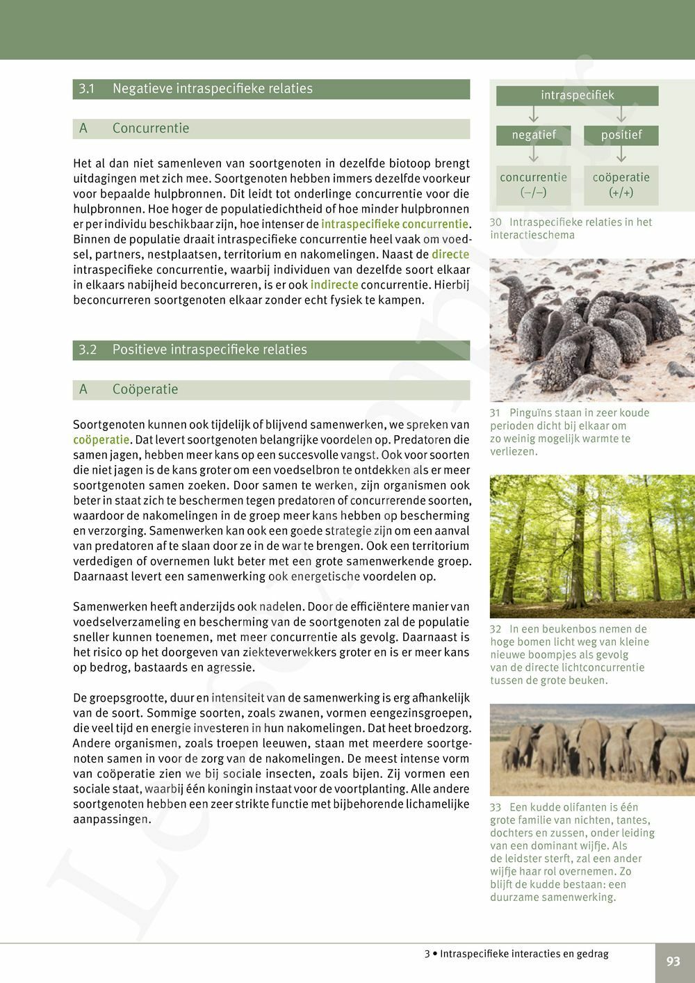 Preview: Focus Biologie 4.2 Leerwerkboek (incl. Pelckmans Portaal)