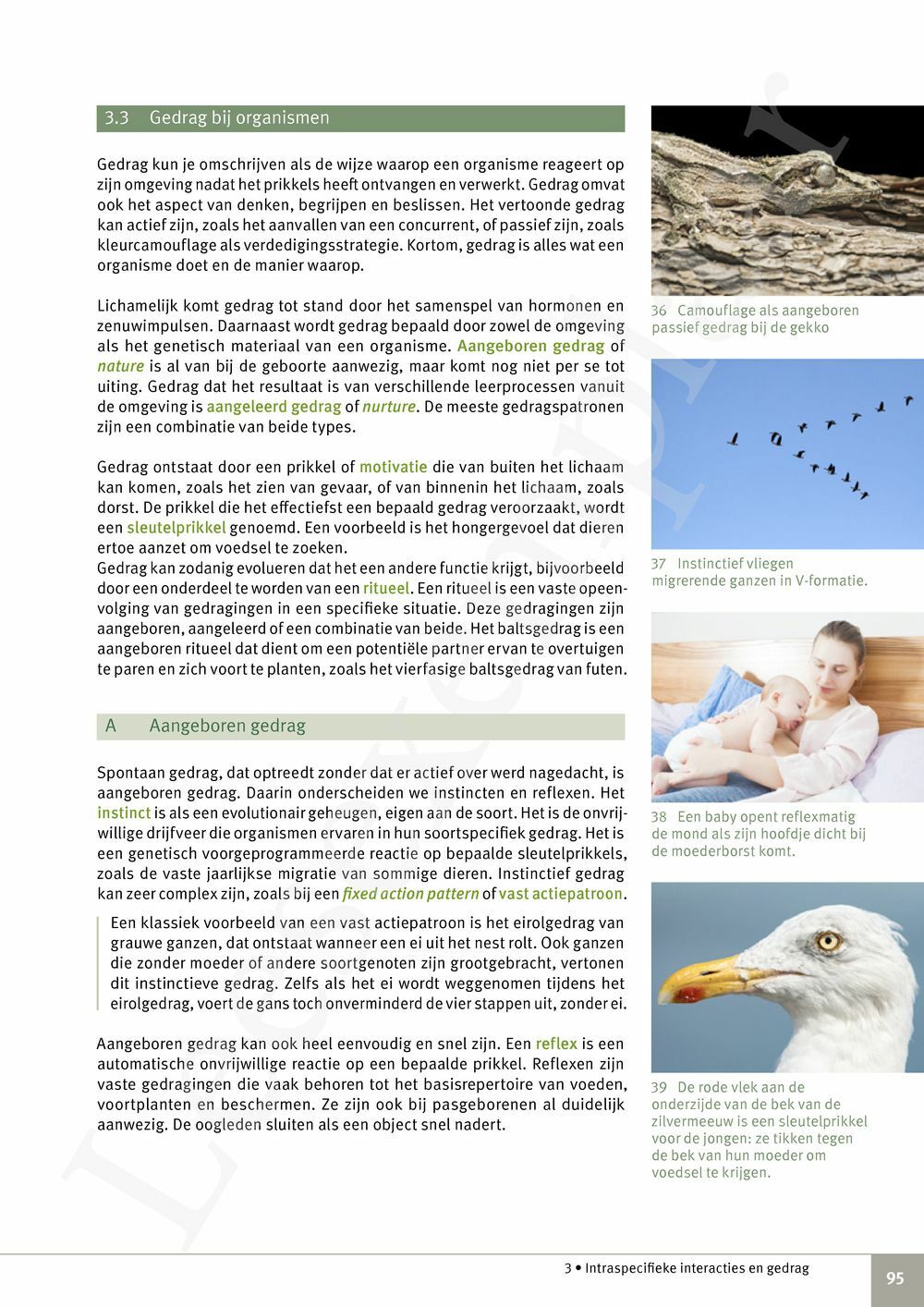 Preview: Focus Biologie 4.2 Leerwerkboek (incl. Pelckmans Portaal)