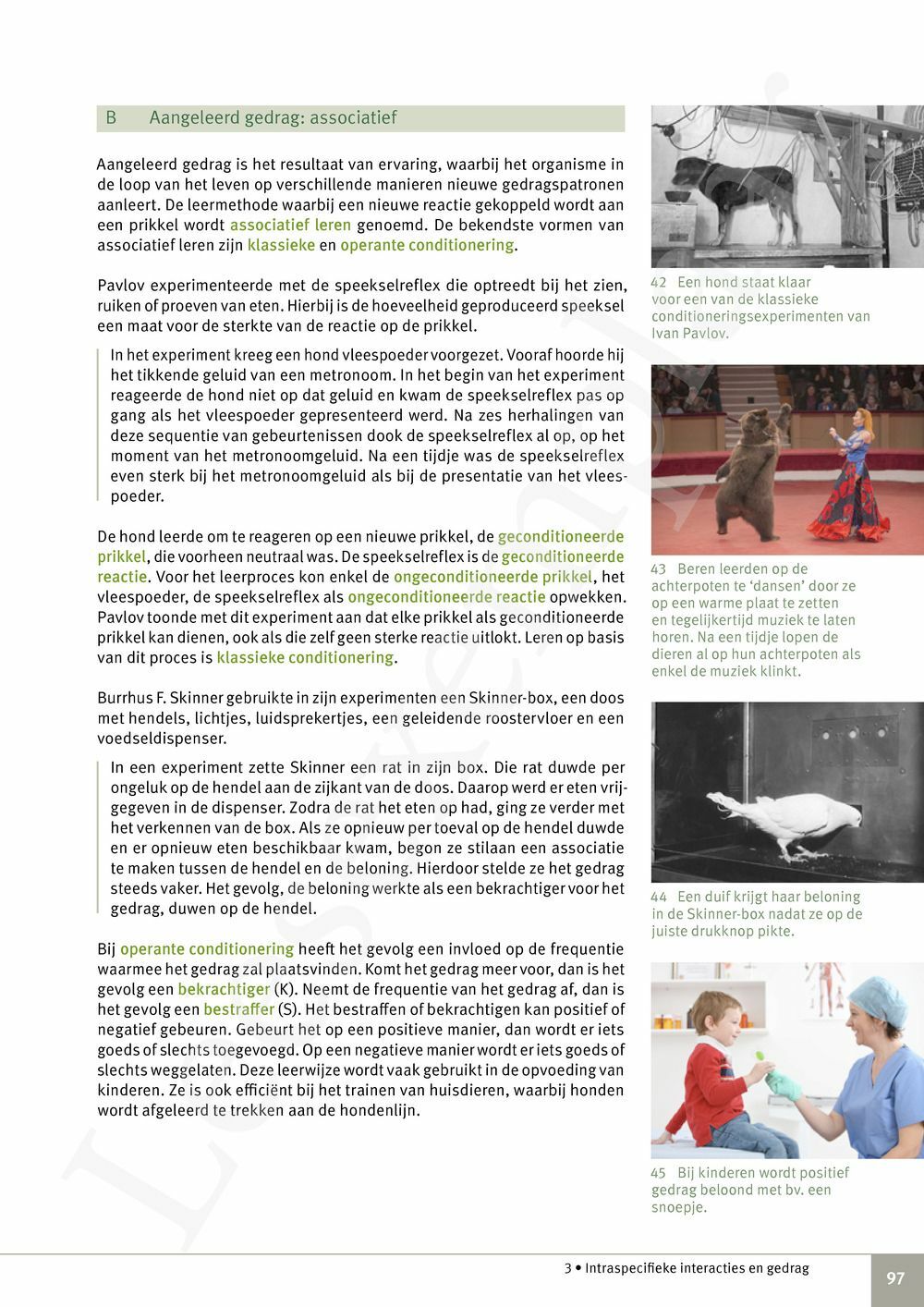 Preview: Focus Biologie 4.2 Leerwerkboek (incl. Pelckmans Portaal)