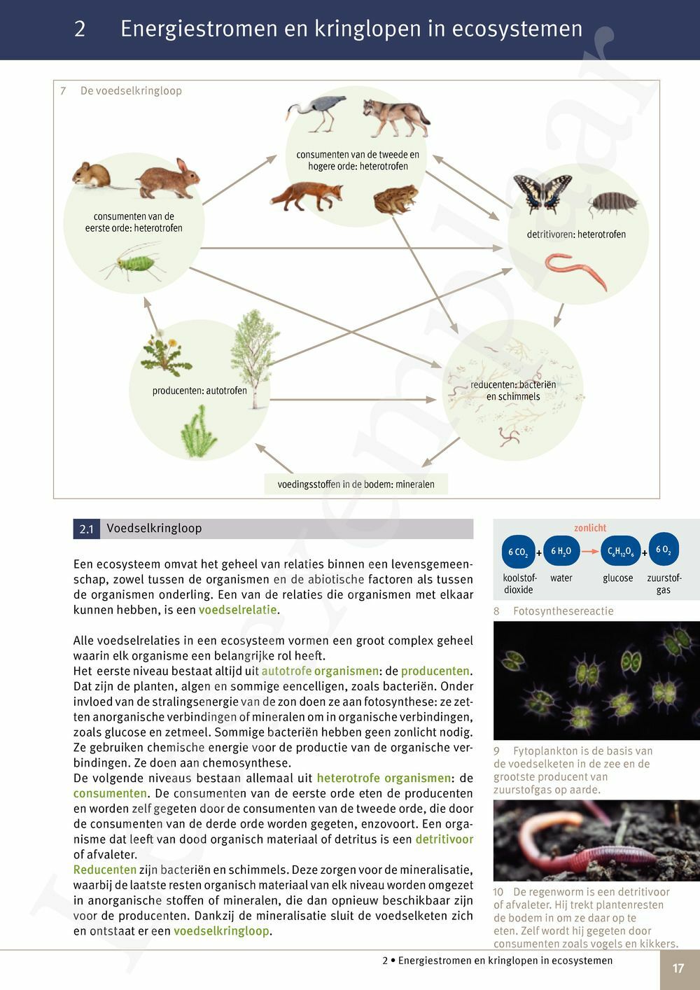 Preview: Focus Natuurwetenschappen 4 Leerwerkboek (incl. Pelckmans Portaal)