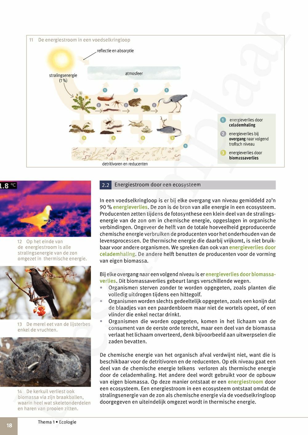 Preview: Focus Natuurwetenschappen 4 Leerwerkboek (incl. Pelckmans Portaal)