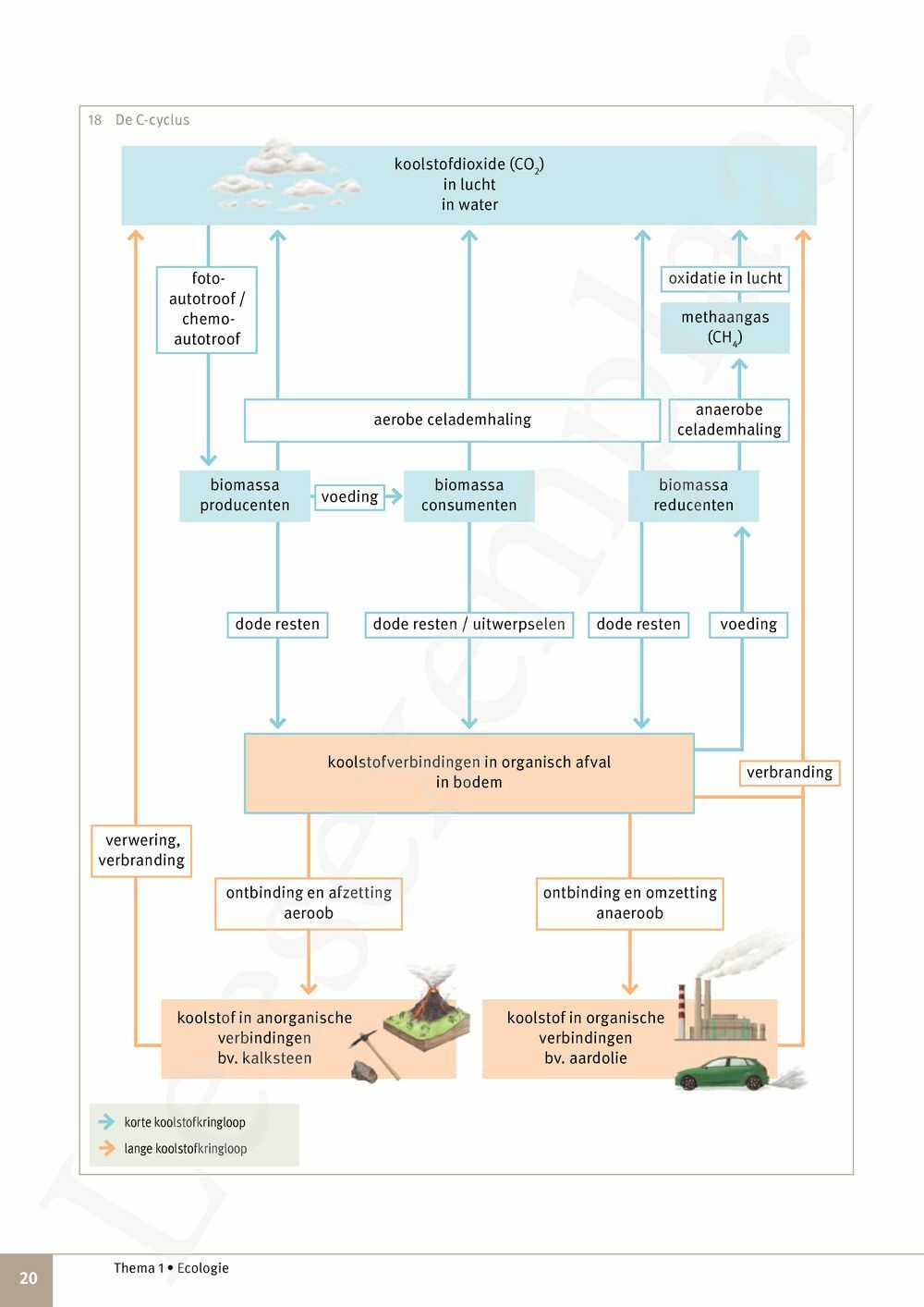 Preview: Focus Natuurwetenschappen 4 Leerwerkboek (incl. Pelckmans Portaal)