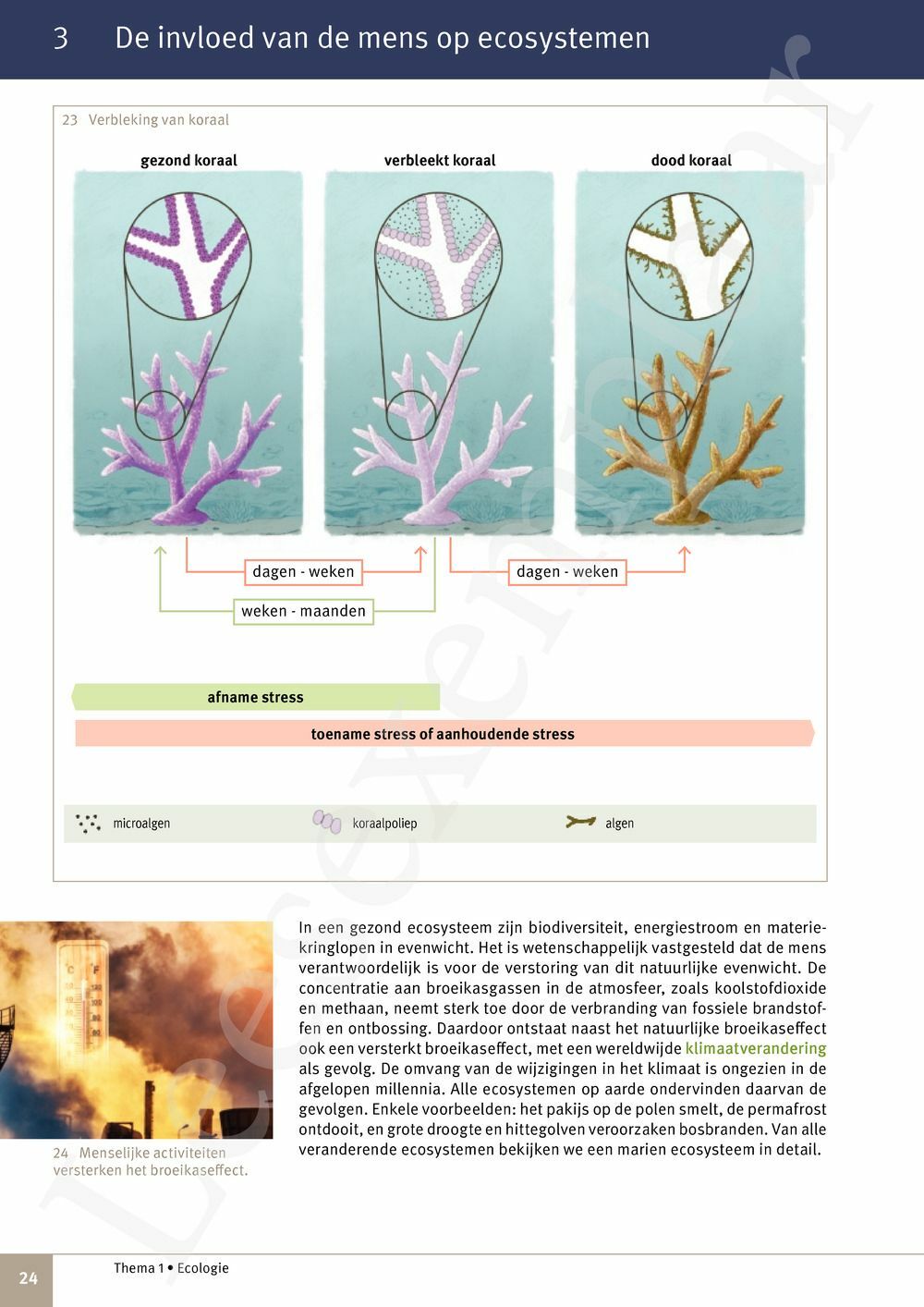 Preview: Focus Natuurwetenschappen 4 Leerwerkboek (incl. Pelckmans Portaal)