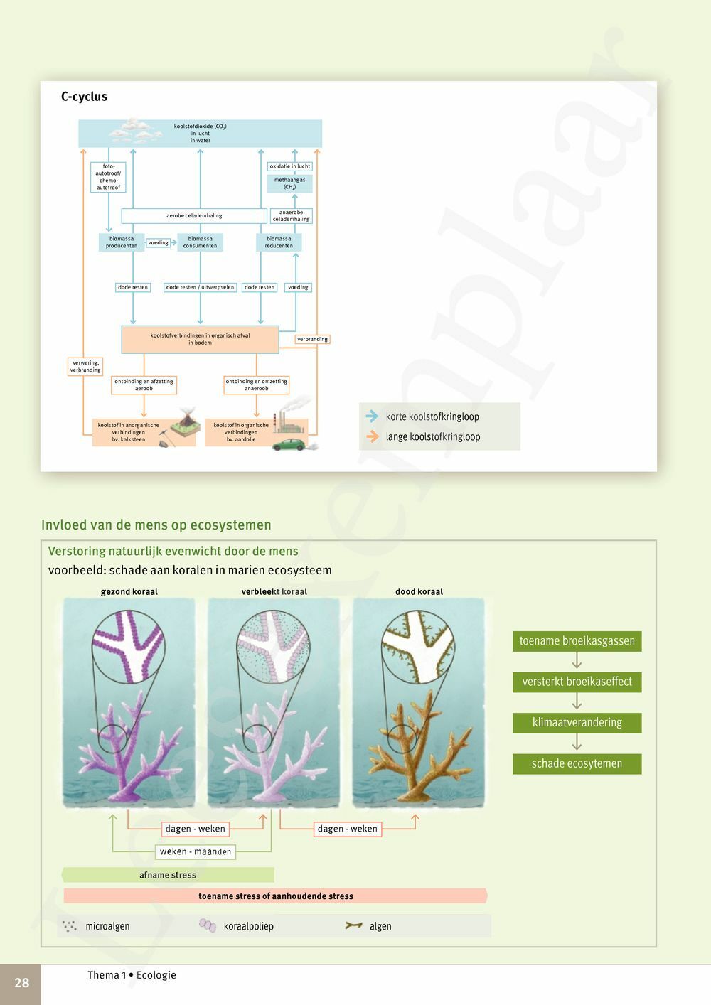 Preview: Focus Natuurwetenschappen 4 Leerwerkboek (incl. Pelckmans Portaal)