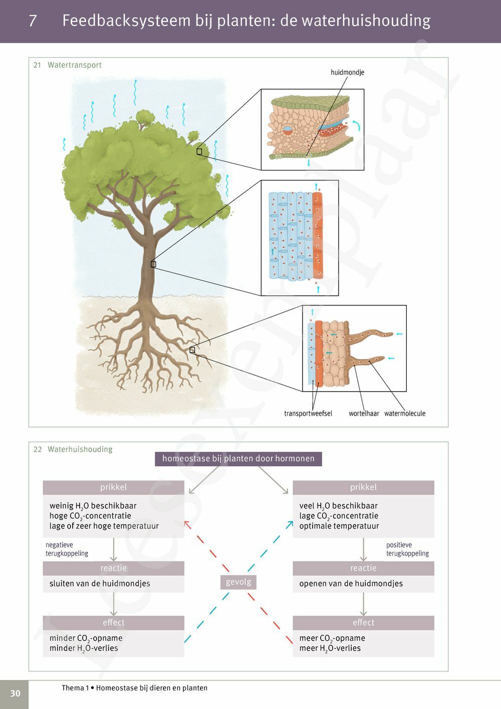 Preview: Focus Natuurwetenschappen Concreet 3 Leerwerkboek (incl. Pelckmans Portaal)