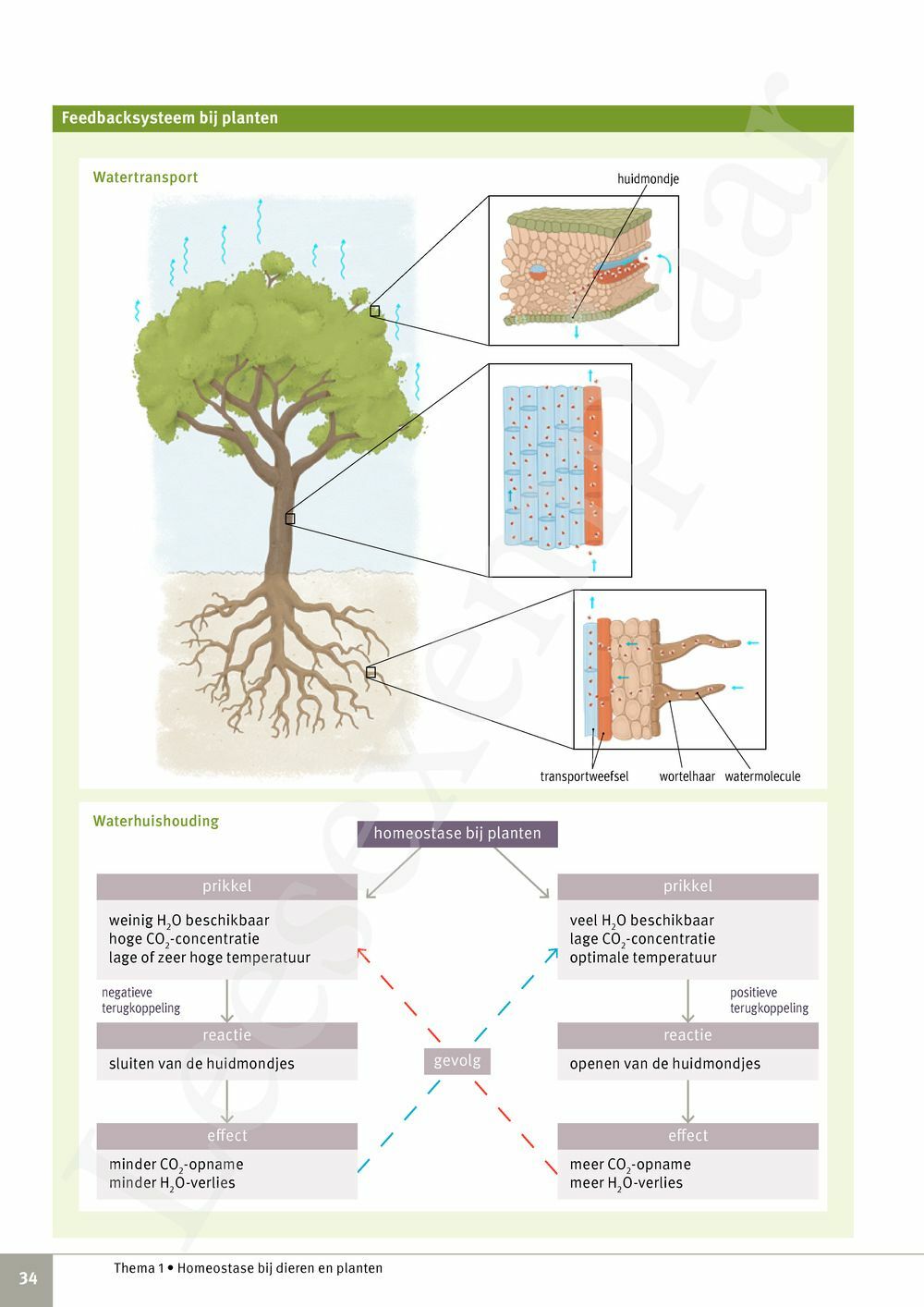 Preview: Focus Natuurwetenschappen Concreet 3 Leerwerkboek (incl. Pelckmans Portaal)