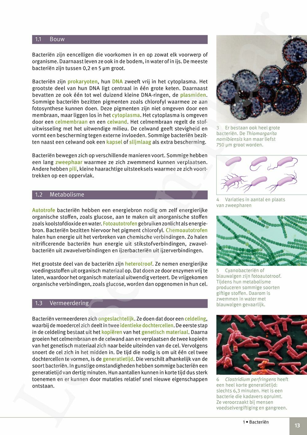 Preview: Focus Natuurwetenschappen Concreet 4 Leerwerkboek (incl. Pelckmans Portaal)