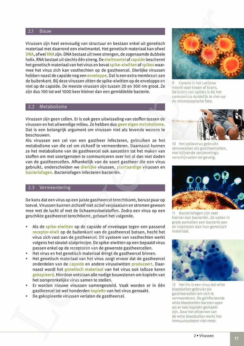 Preview: Focus Natuurwetenschappen Concreet 4 Leerwerkboek (incl. Pelckmans Portaal)