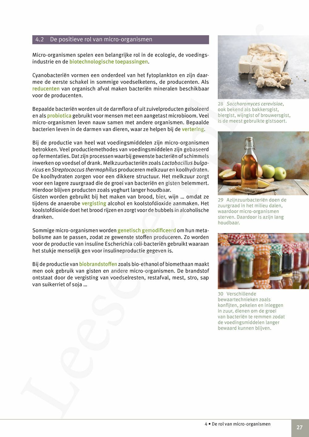 Preview: Focus Natuurwetenschappen Concreet 4 Leerwerkboek (incl. Pelckmans Portaal)