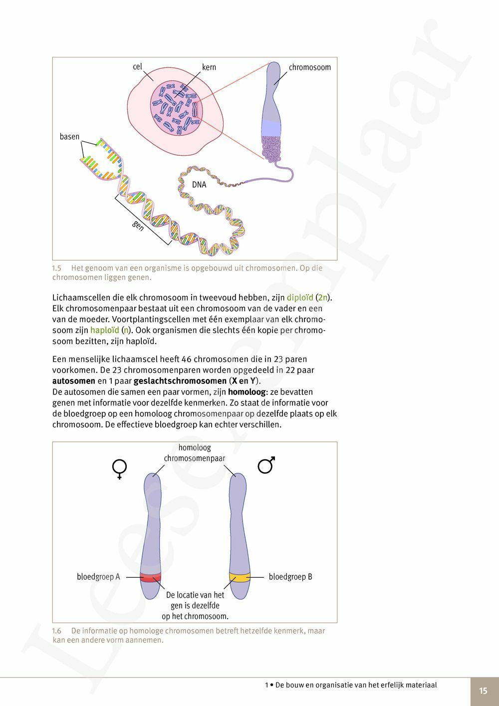 Preview: Focus Natuurwetenschappen 6 Leerwerkboek (incl. Pelckmans Portaal)