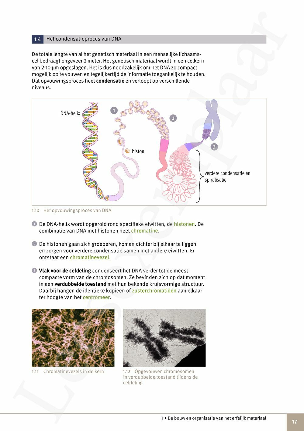 Preview: Focus Natuurwetenschappen 6 Leerwerkboek (incl. Pelckmans Portaal)