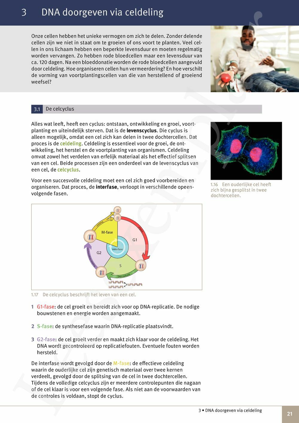 Preview: Focus Natuurwetenschappen 6 Leerwerkboek (incl. Pelckmans Portaal)