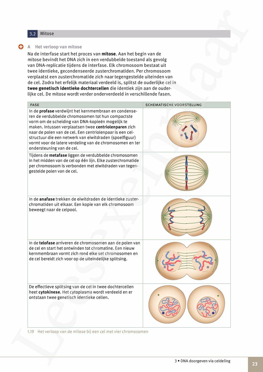 Preview: Focus Natuurwetenschappen 6 Leerwerkboek (incl. Pelckmans Portaal)