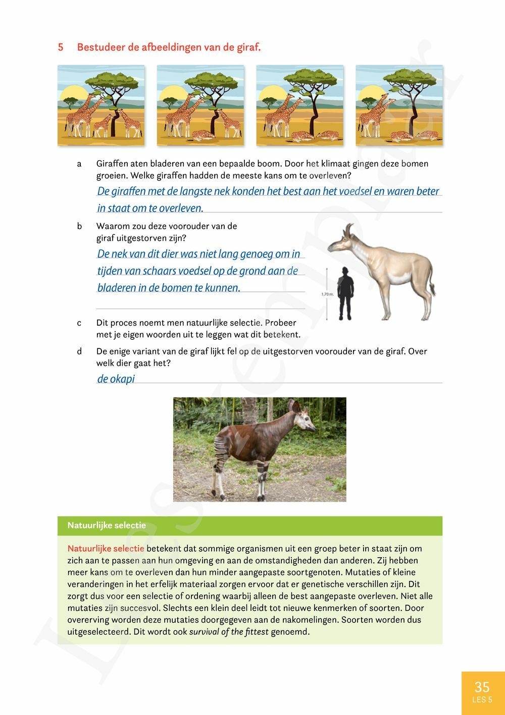 Preview: Match 6 Maatschappelijke vorming-Nederlands Leerwerkboek (incl. Pelckmans Portaal)