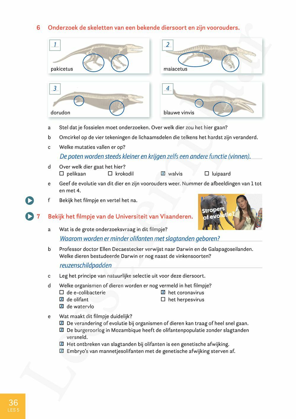 Preview: Match 6 Maatschappelijke vorming-Nederlands Leerwerkboek (incl. Pelckmans Portaal)