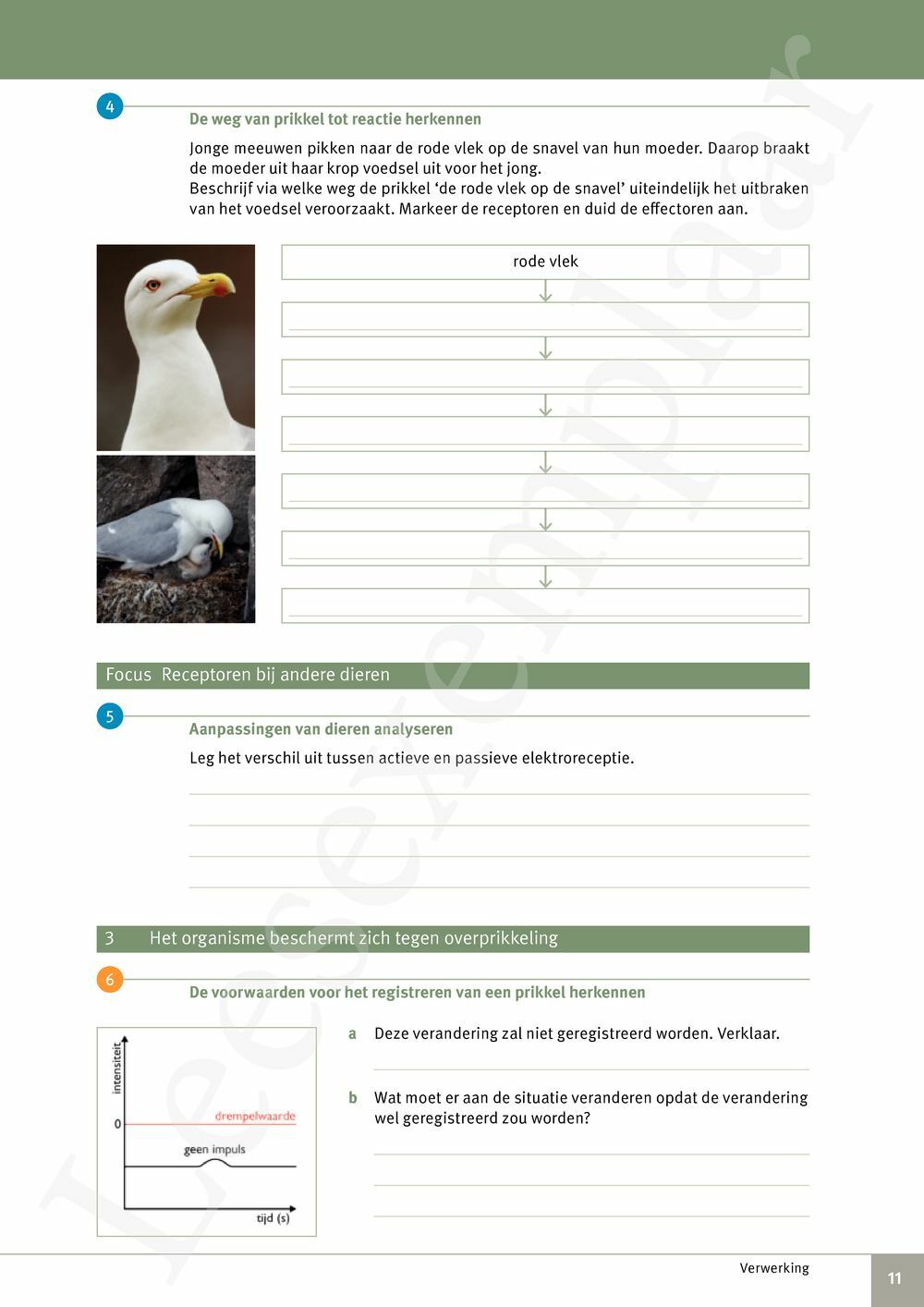 Preview: Focus Biologie 3.2 Werkboek (incl. Pelckmans Portaal)