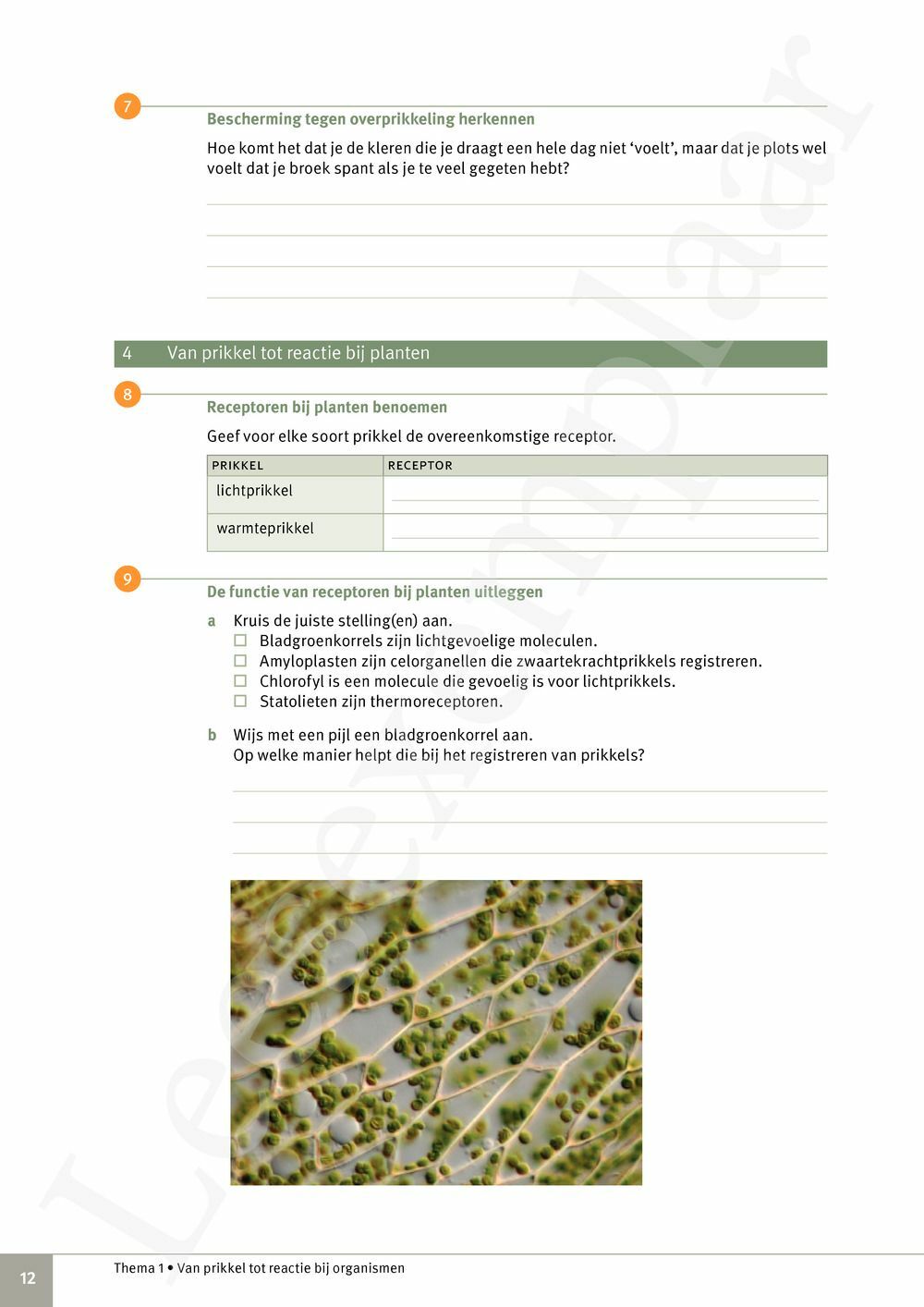 Preview: Focus Biologie 3.2 Werkboek (incl. Pelckmans Portaal)