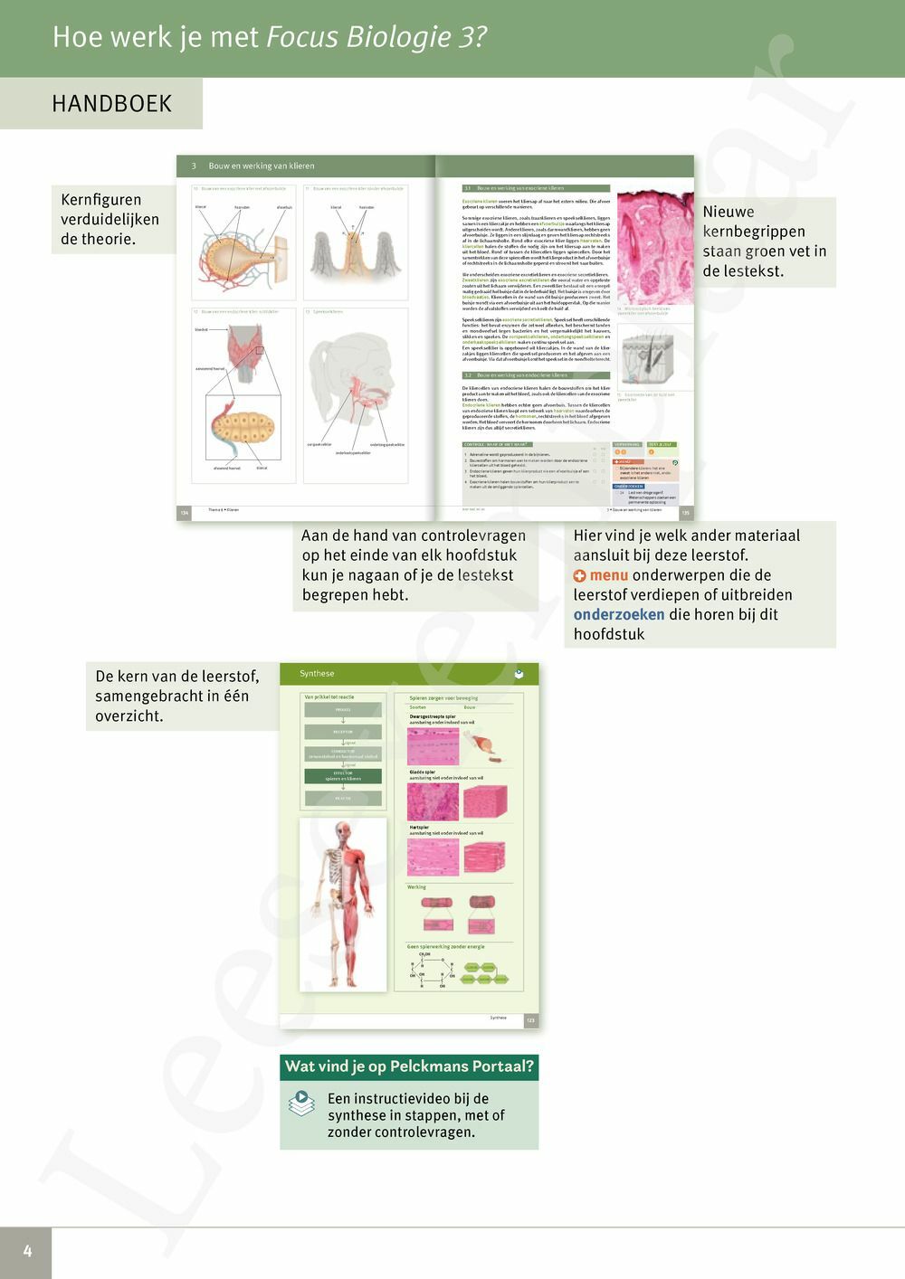 Preview: Focus Biologie 3.2 Werkboek (incl. Pelckmans Portaal)