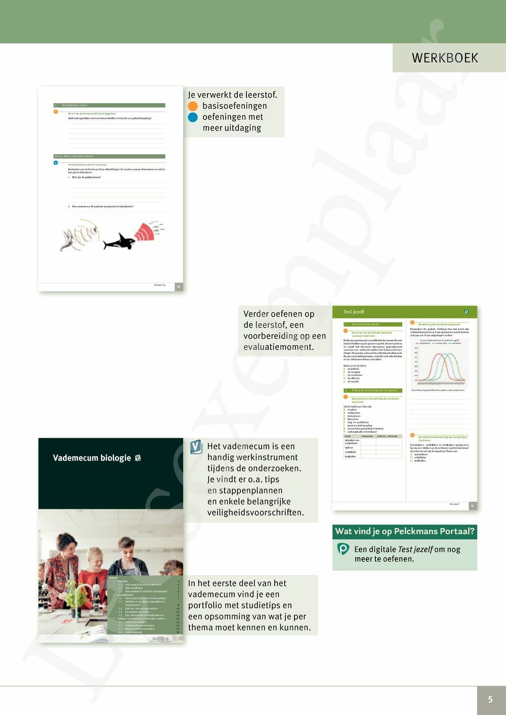 Preview: Focus Biologie 3.2 Werkboek (incl. Pelckmans Portaal)