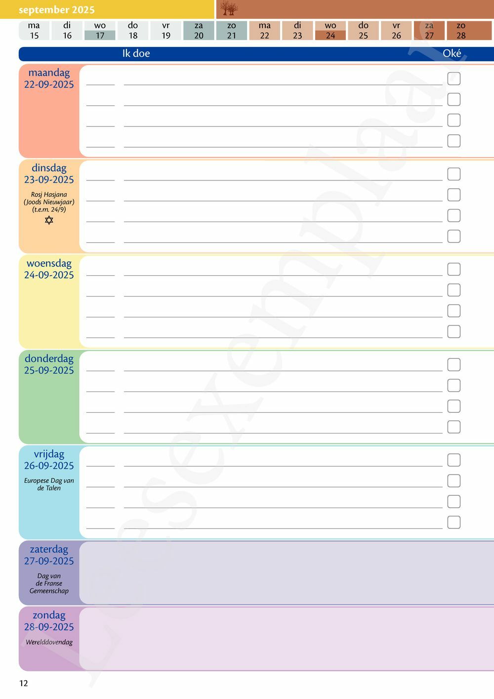 Preview: LeerWijzer 4de leerjaar 2025-2026