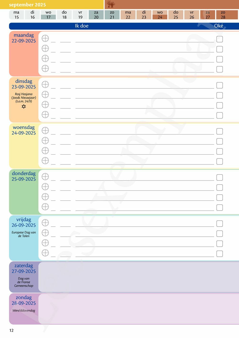 Preview: LeerWijzer 6de leerjaar 2025-2026