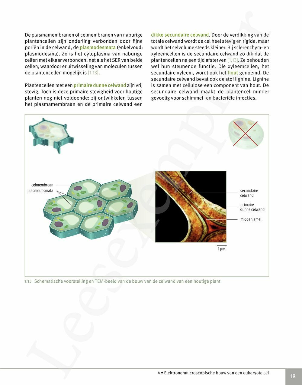 Focus Biologie Cel En Celprocessen Handboek Incl Pelckmans Portaal