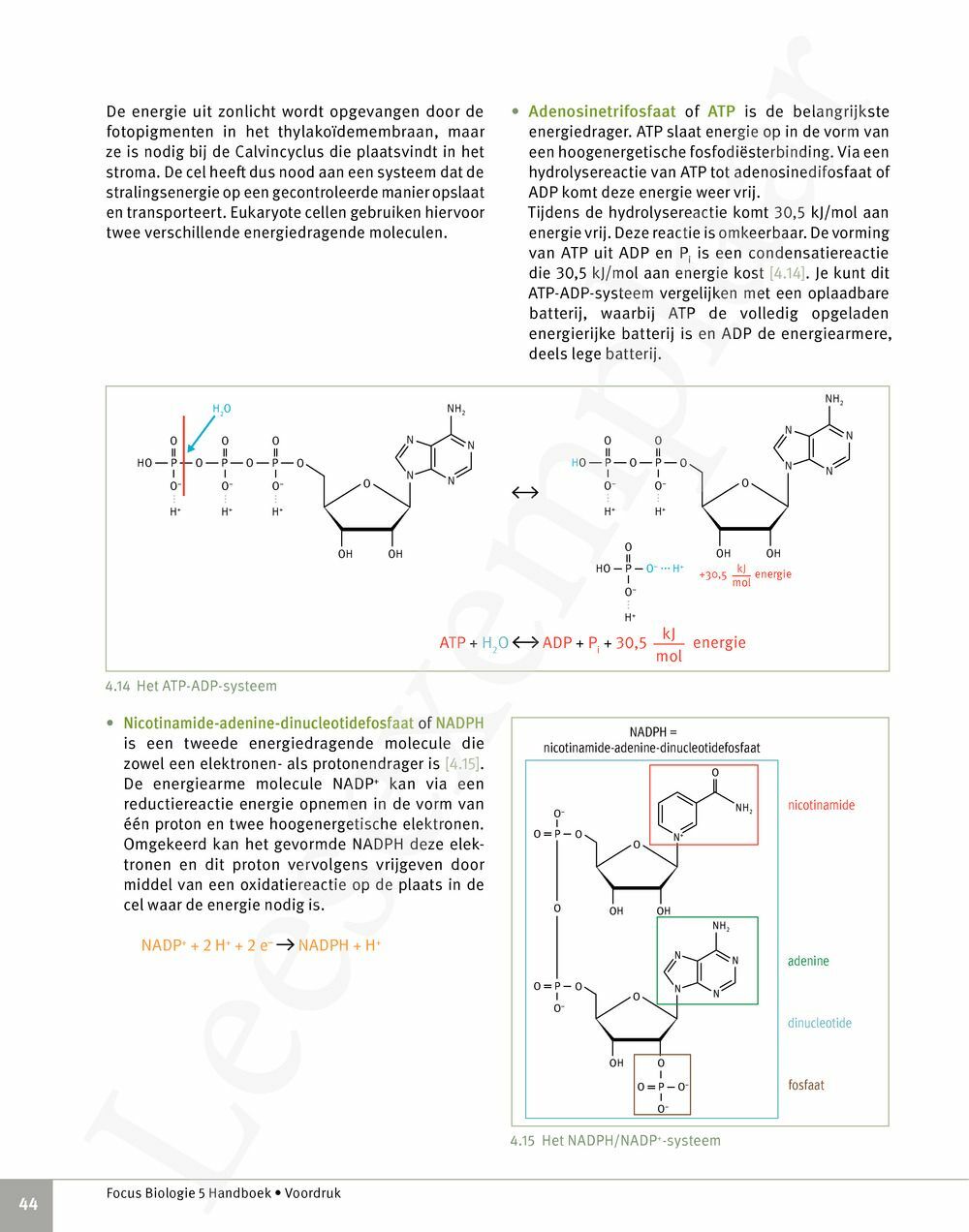 Focus Biologie Cel En Celprocessen Handboek Incl Pelckmans Portaal